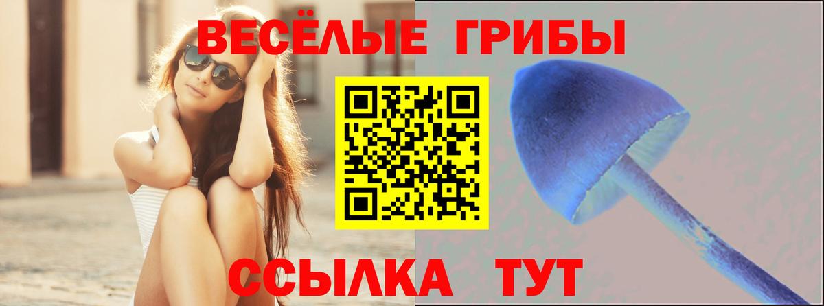 сколько стоит  Галлюциногенные грибы Psilocybe  Вход с VPN  Дзержинский 